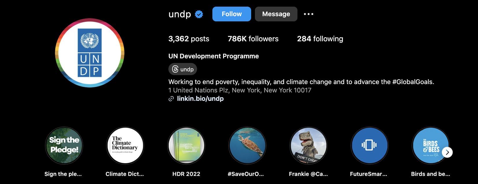 UNDP </br> Digital Designs Creations + Campaigns Creation & Management